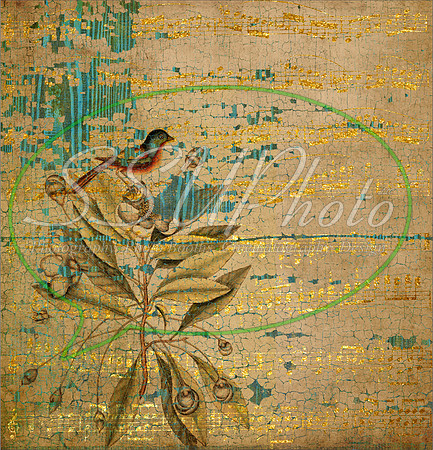 Texturespatterns10
