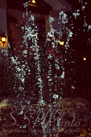 1685Reception