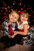 rosachristmas201500014