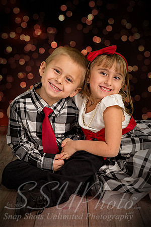 rosachristmas201500014
