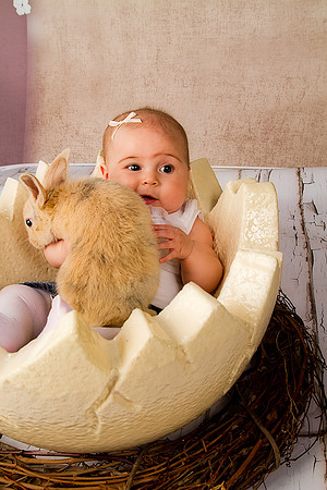 Sullivaneaster0031