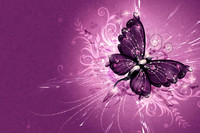 Butterflys