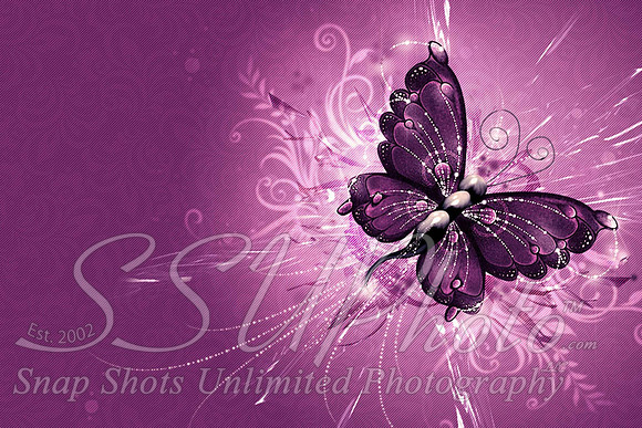 butterfly1