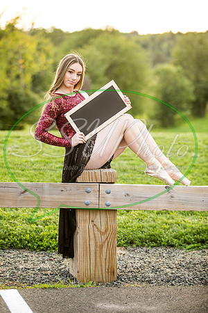 vivseniorphotos2020517