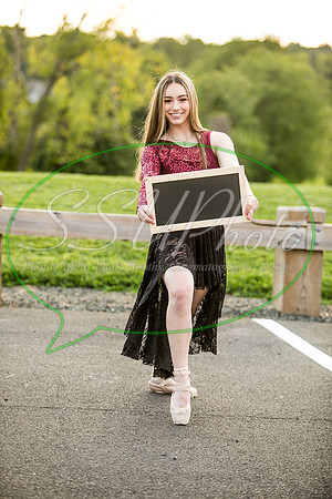 vivseniorphotos2020512