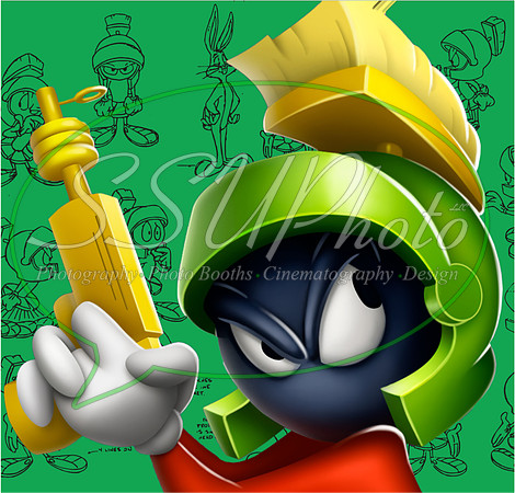 LoonyToons13