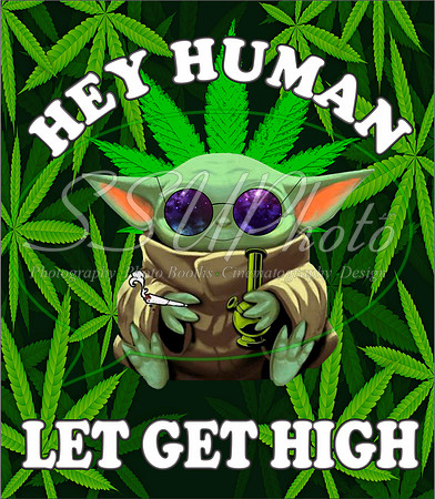 42033 2