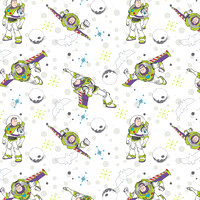 Toystory1 (11)