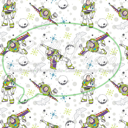 Toystory1 (11)
