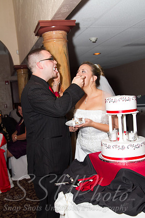 1493Reception