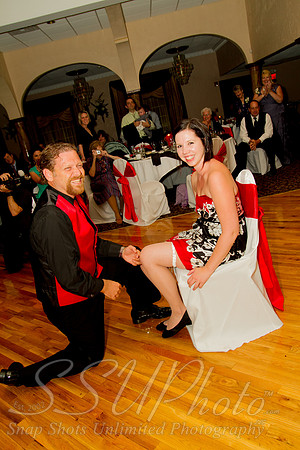 1733Reception