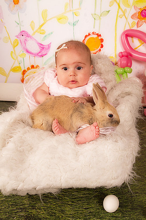 Sullivaneaster0085