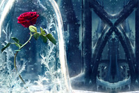 Enchanted20