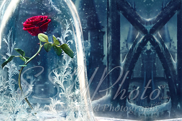 Enchanted20