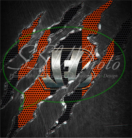 14tornnfl
