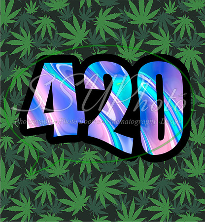 4204