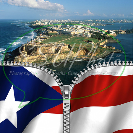 Purterico3