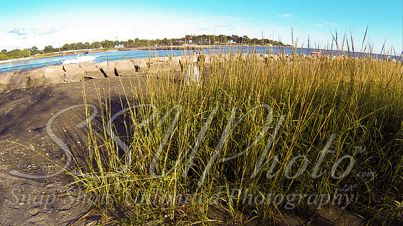 00259For