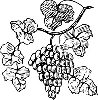 1197100264995537383johnny_automatic_grapes.svg.hi