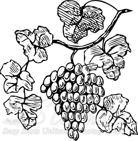1197100264995537383johnny_automatic_grapes.svg.hi