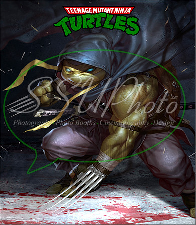 TMNT22