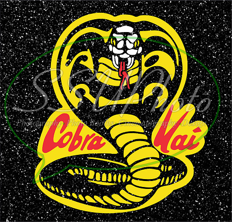 CobraKiaMovie4