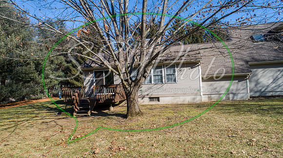 0115802meadowview