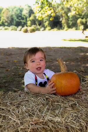 0095Owen1