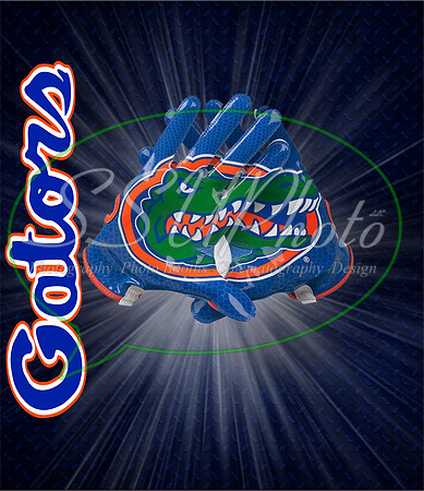 Gators10