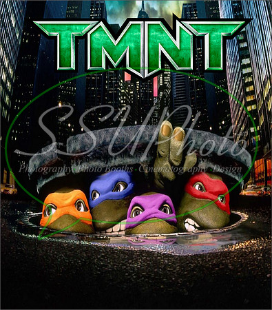 TMNT221