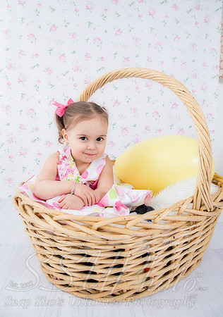 jeneaster201400013