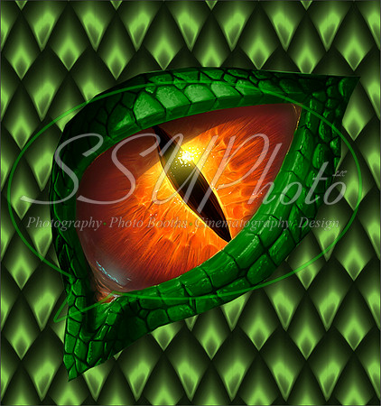 Dragon Eyes3