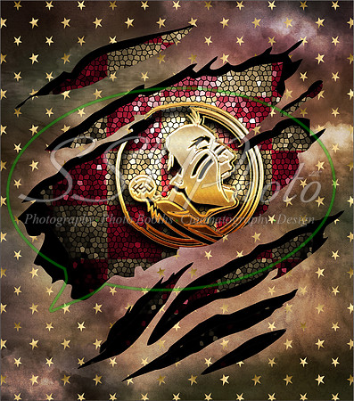 FSU8