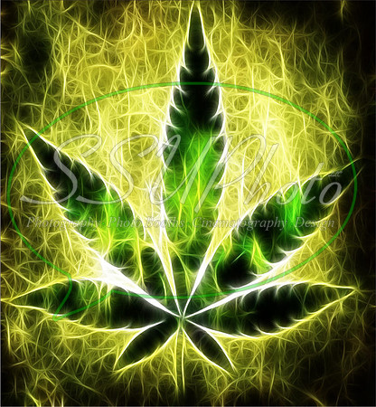 4206