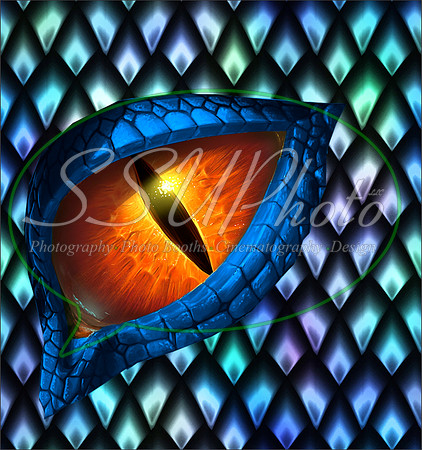 Dragon Eyes11