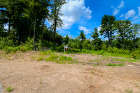 lot 33