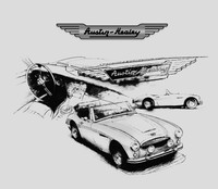 Austinhealeygrey