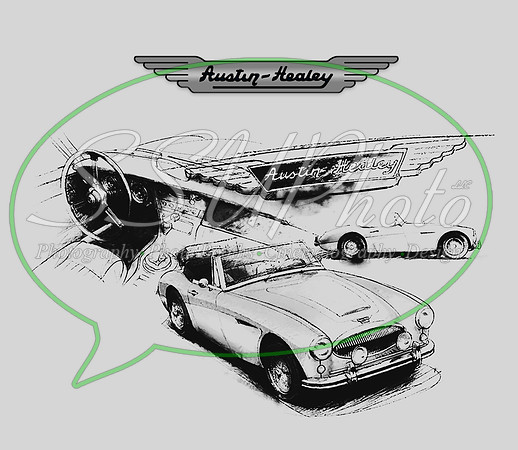 Austinhealeygrey
