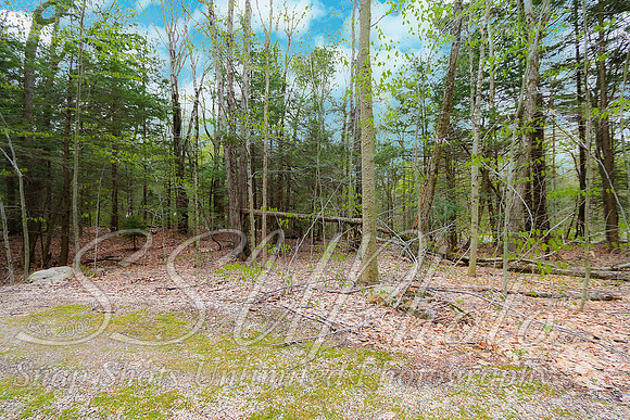 0071becketma