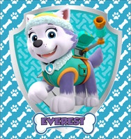 PawpatrolPatterns11