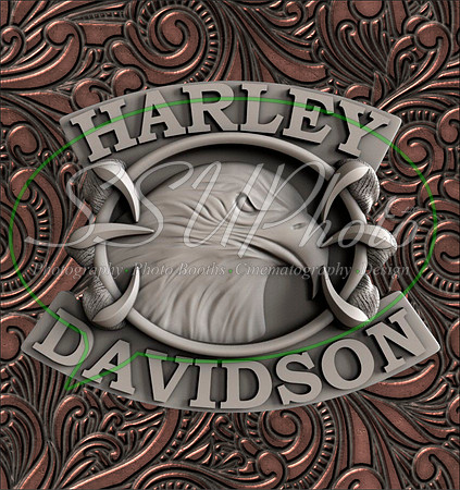 HarleyD1