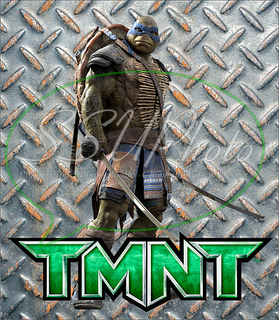 TMNT216
