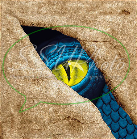 DragoneyesTurn3