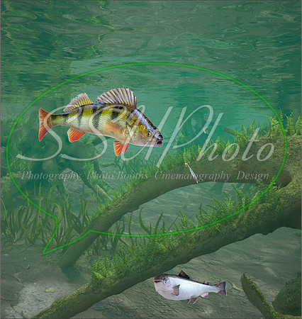 3d Fishing10