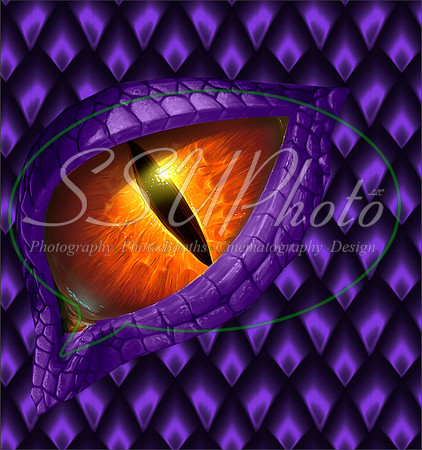Dragon Eyes1