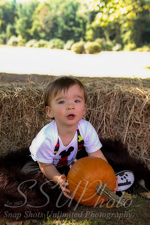 0083Owen1