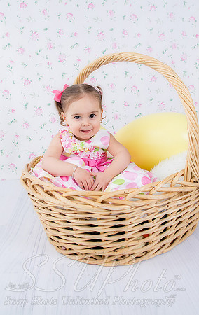 jeneaster201400001