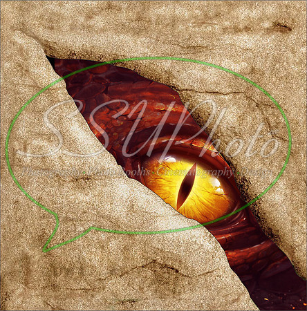 DragoneyesTurn4