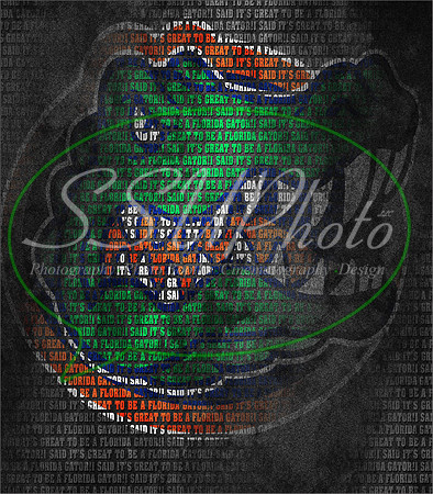 Gators15