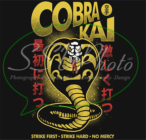 CobraKiaMovie10